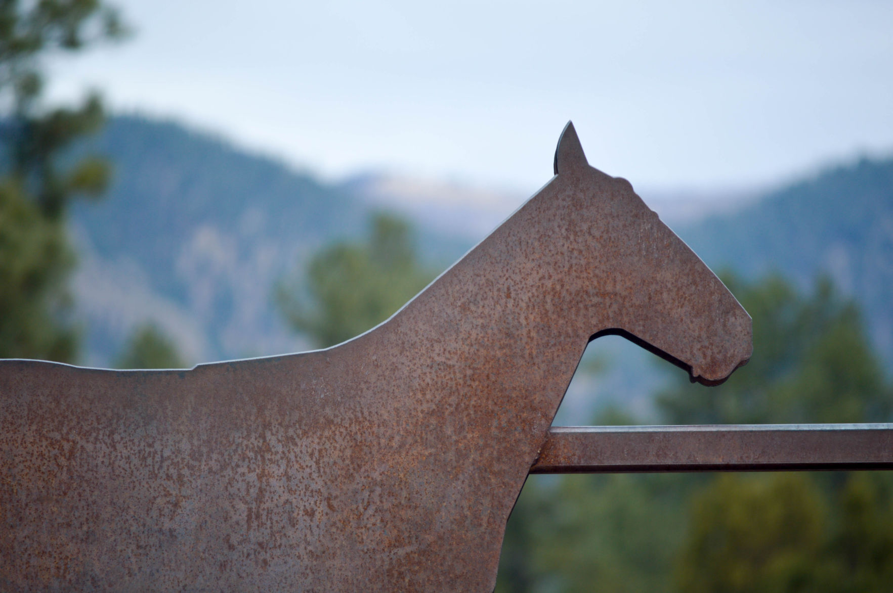 I spy a horse